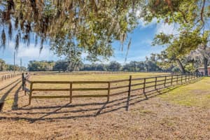 208 70TH STREET, OCALA, FL 34479 - MLS#MFROM691016
