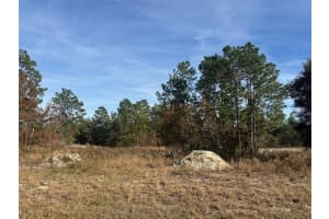 TBD 88TH COURT, DUNNELLON, FL 34432 - MLS#MFROM691046