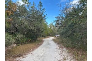 TBD 236 PLACE, FORT MC COY, FL 32134 - MLS#MFROM691049