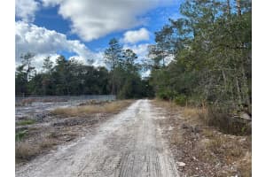 TBD 236 PLACE, FORT MC COY, FL 32134 - MLS#MFROM691049