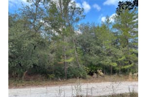 TBD 236 PLACE, FORT MC COY, FL 32134 - MLS#MFROM691049