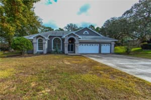 45 CRYSTAL MEADOW PATH, LECANTO, FL 34461 Sold 03/01/25
