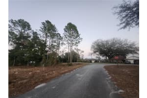 W COUNTRY CLUB DR, WILLISTON, FL 32696 - MLS#MFROM691186