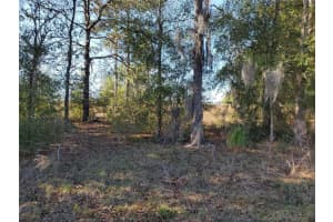 lot 32 144TH AVE. ROAD, OCALA, FL 34481 Sold 03/28/25