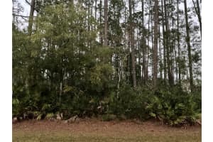 80 EDITH POPE DRIVE, PALM COAST, FL 32164 Sold 01/31/25
