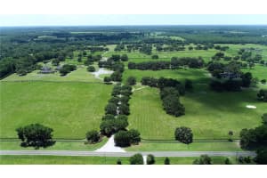 6800 193RD STREET, MICANOPY, FL 32667 - MLS#MFROM691209