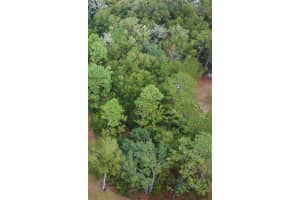 SW 50TH PLACE, DUNNELLON, FL 34431 Sold 05/14/25