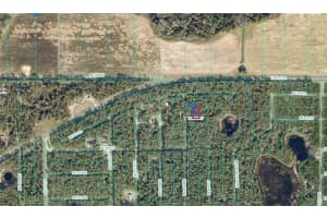 00 239TH STREET, FORT MC COY, FL 32134 - MLS#MFROM691253