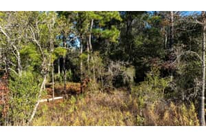 00 HENRY BLAIR LANE, DUNNELLON, FL 34434 Sold 03/21/25