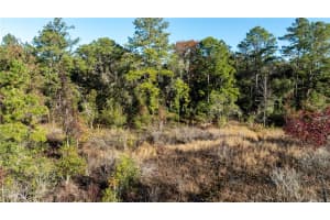 00 HENRY BLAIR LANE, DUNNELLON, FL 34434 Sold 03/21/25