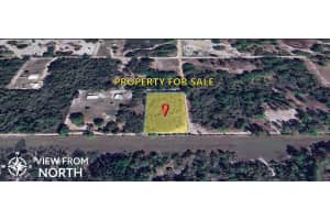XXX 85TH AVENUE, DUNNELLON, FL 34432 Sold 02/03/25