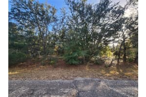 2176 CONWAY DRIVE, CITRUS SPRINGS, FL 34434 - MLS#MFROM691361