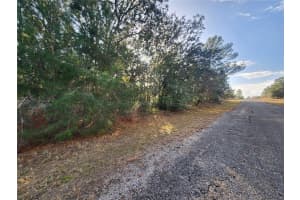 2176 CONWAY DRIVE, CITRUS SPRINGS, FL 34434 - MLS#MFROM691361