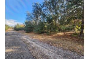 2176 CONWAY DRIVE, CITRUS SPRINGS, FL 34434 - MLS#MFROM691361