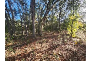 2176 CONWAY DRIVE, CITRUS SPRINGS, FL 34434 - MLS#MFROM691361