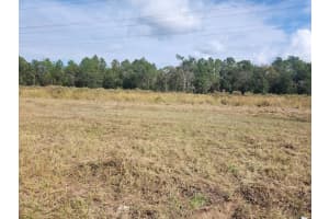SE MARICAMP RD, OCALA, FL 34472 - MLS#MFROM691362
