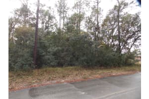 6694 GLOVER STREET, INVERNESS, FL 34452 Sold 06/11/25