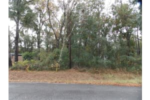 6660 HAYNES LANE, INVERNESS, FL 34452 - MLS#MFROM691403