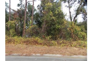 6677 GENTRY STREET, INVERNESS, FL 34452 Sold 07/07/25