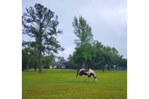 13401 W HIGHWAY 316, REDDICK, FL 32686 Sold 10/03/25