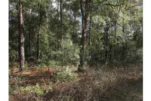 Lot 6 SW 161 COURT ROAD, OCALA, FL 34481 Sold 02/18/25