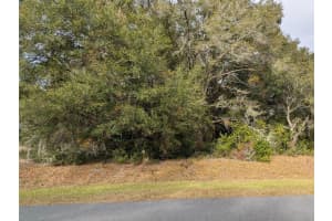SW BEACH BLVD, DUNNELLON, FL 34431 - MLS#MFROM691510