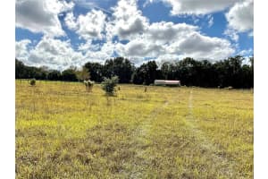 00 JACKSONVILLE ROAD, OCALA, FL 34479 - MLS#MFROM691544