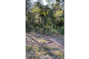 LOT 55 SW SAILBOAT DR SAILBOAT DRIVE, DUNNELLON, FL 34431 - MLS#MFROM691581