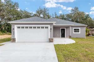 39926 PARKINSONIA STREET, LADY LAKE, FL 32159 - MLS#MFROM691584