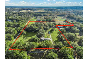 16350 130TH STREET, WILLISTON, FL 32696 Sold 01/13/25