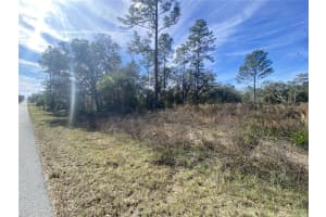 TBD HYACINTH COURT, DUNNELLON, FL 34431 Sold 05/12/25