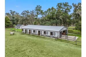 17550 55TH STREET, WILLISTON, FL 32696 Sold 03/25/25