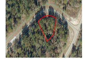 TBA SW 143 PLACE, OCALA, FL 34473 Sold 01/24/25