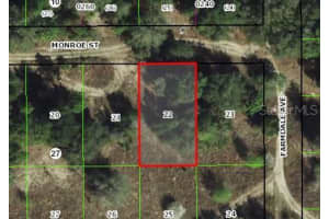 2303 MONROE STREET, INVERNESS, FL 34453 Sold 04/30/25