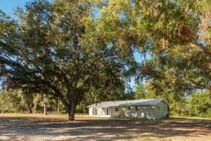 5051 145TH AVENUE, WILLISTON, FL 32696 Sold 02/25/25
