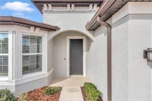 8729 61ST LOOP, OCALA, FL 34481 Sold 06/04/25