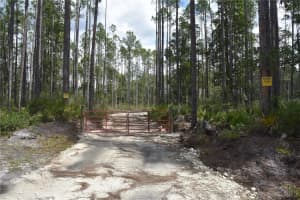 NE 130TH AVE, FORT MC COY, FL 32134 - MLS#MFROM691980