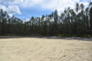 NE 130TH AVE, FORT MC COY, FL 32134 - MLS#MFROM691980