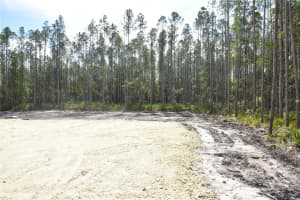 NE 130TH AVE, FORT MC COY, FL 32134 - MLS#MFROM691980