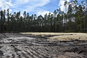 NE 130TH AVE, FORT MC COY, FL 32134 - MLS#MFROM691980