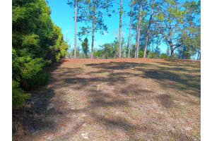 2751 150TH AVENUE, MORRISTON, FL 32668 Sold 03/12/25