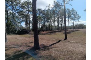 2751 150TH AVENUE, MORRISTON, FL 32668 Sold 03/12/25