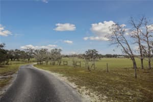 14551 7 PLACE, WILLISTON, FL 32696 Sold 04/09/25