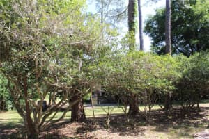 3107 16TH LANE, OCALA, FL 34475 Sold 04/01/25