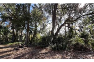 4875 DRIFTWOOD WAY, HOMOSASSA, FL 34448 Sold 05/16/25