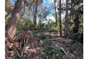 4875 DRIFTWOOD WAY, HOMOSASSA, FL 34448 Sold 05/16/25