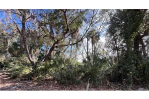 4875 DRIFTWOOD WAY, HOMOSASSA, FL 34448 Sold 05/16/25