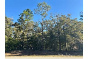 Lot 23 102 STREET ROAD, DUNNELLON, FL 34431 - MLS#MFROM692165