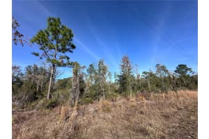 tbd 117TH TERRACE, WILLISTON, FL 32696 - MLS#MFROM692178