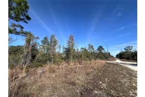 tbd 117TH TERRACE, WILLISTON, FL 32696 - MLS#MFROM692178
